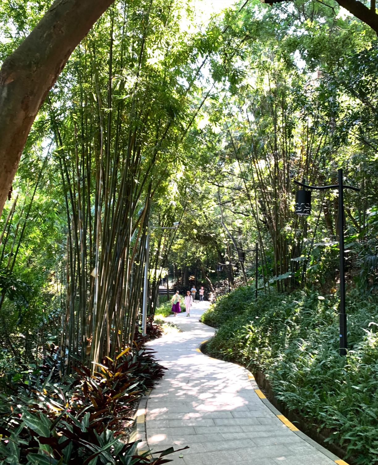 广州的休闲好去处,广州云道旅游