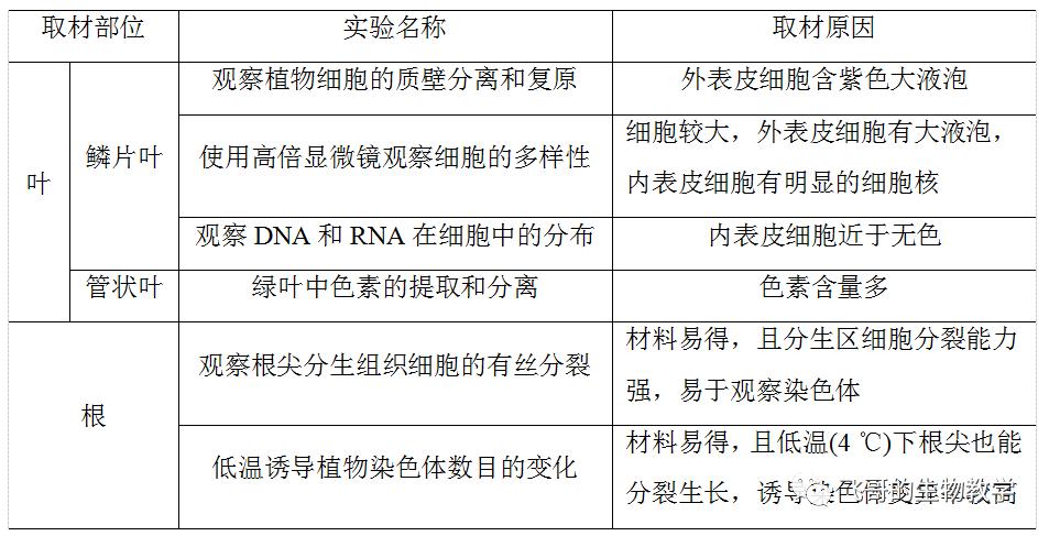 二轮复习生物实验视频,二轮生物复习研讨