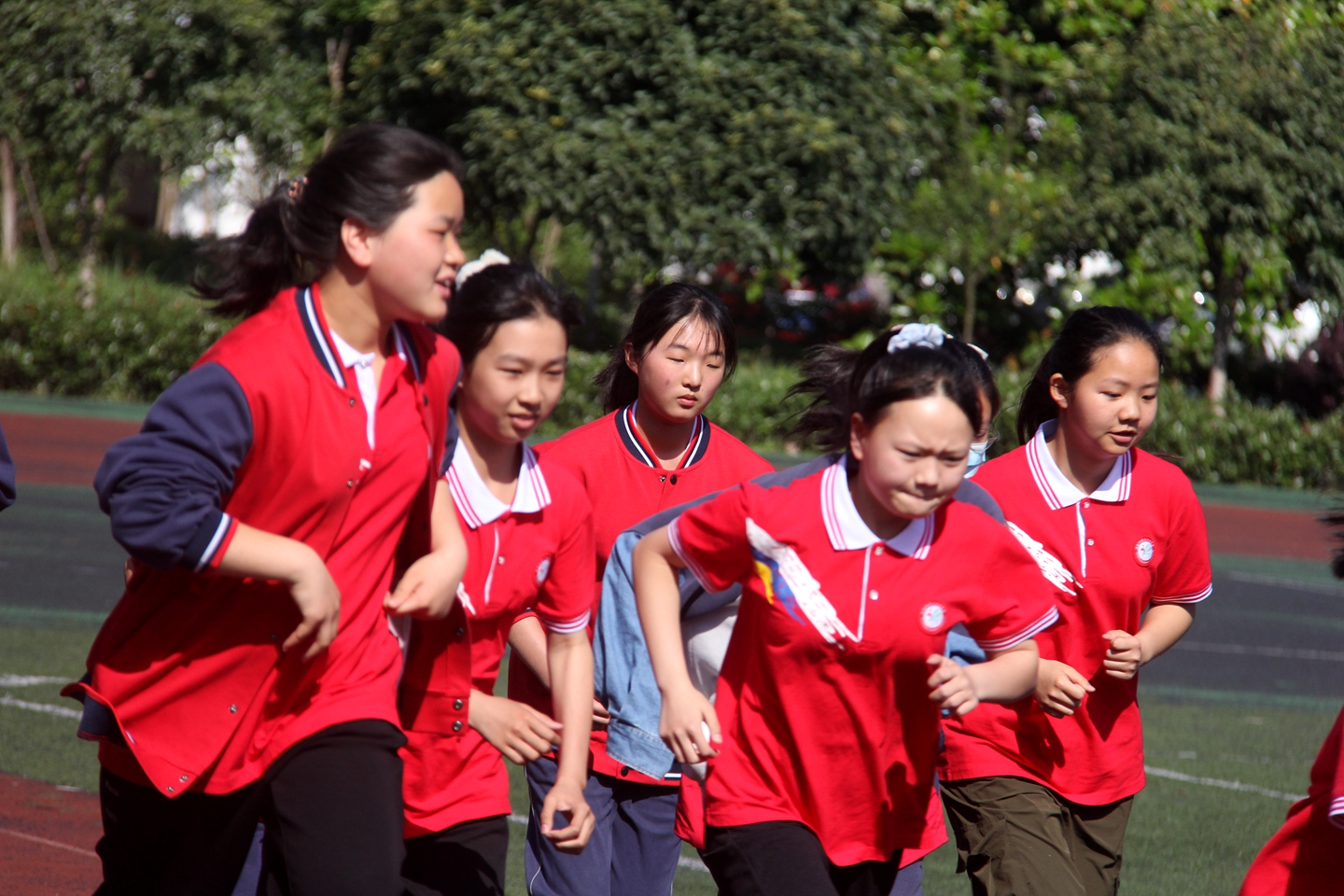 学校春季运动会活动,学校春季运动会活动报道