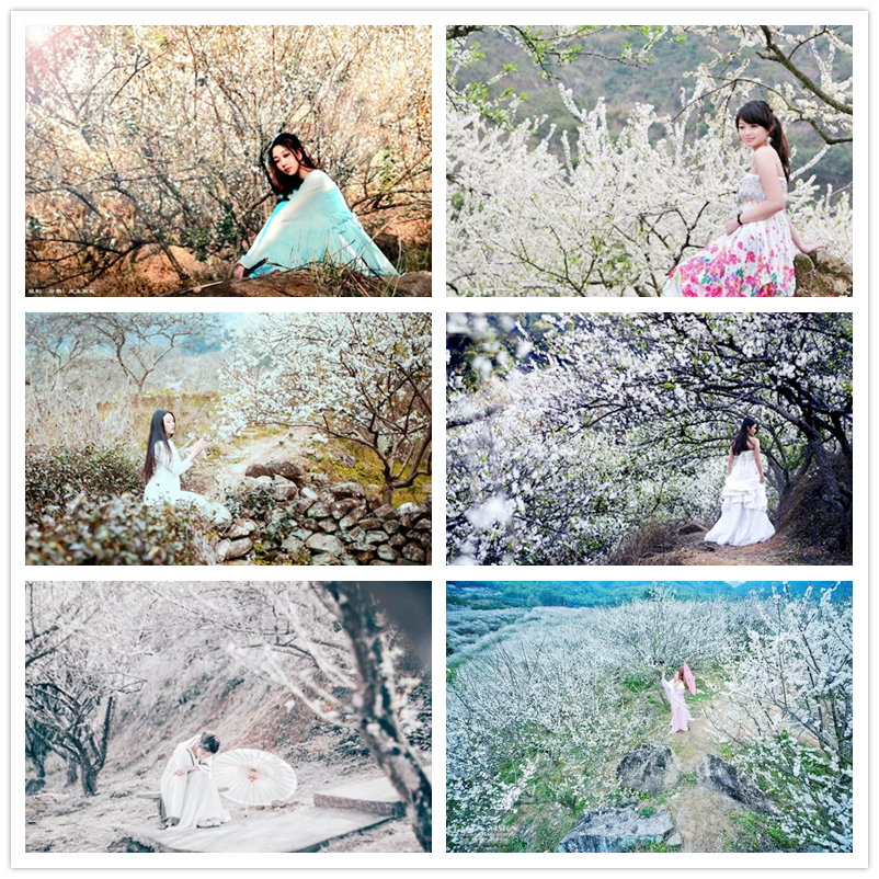 从化赏花旅游攻略景点必去,从化梅花节自驾游路线图最新