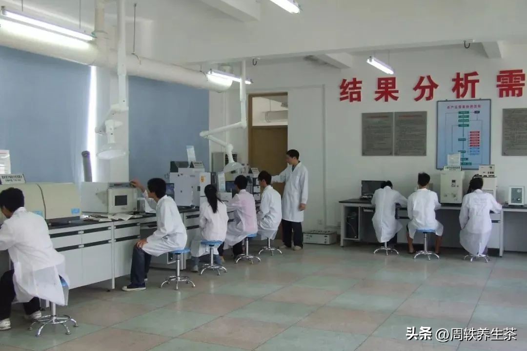 茶学专业前景分析,为什么要选择茶学专业这个专业