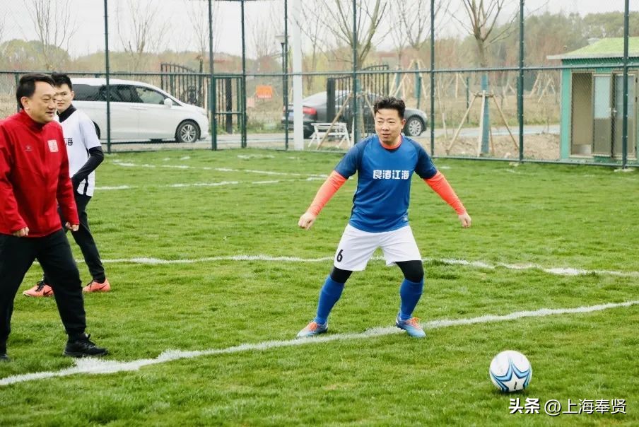 绿色生态圆梦,绿色环保梦主题实践活动方案