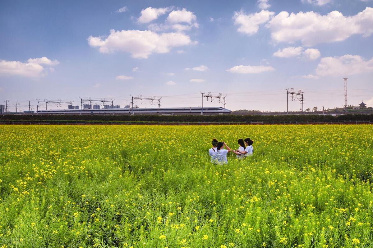 抖音商品橱窗和小店有什么区别，大灰哥告诉你，看完不再迷糊！