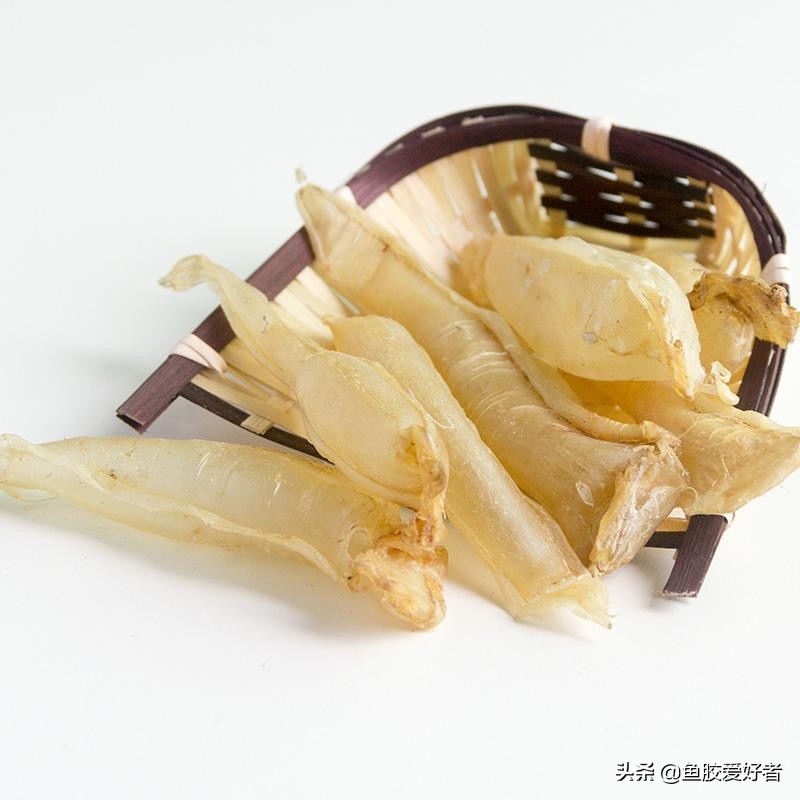 最全鱼胶品种大全,值得收藏的鱼胶品种