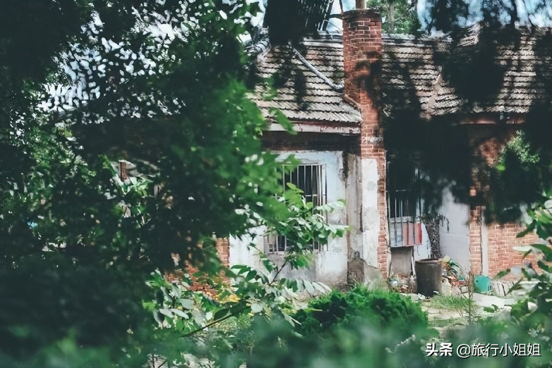 夏日海边微醺氛围感,滨城风光秀丽浪漫气息爆表