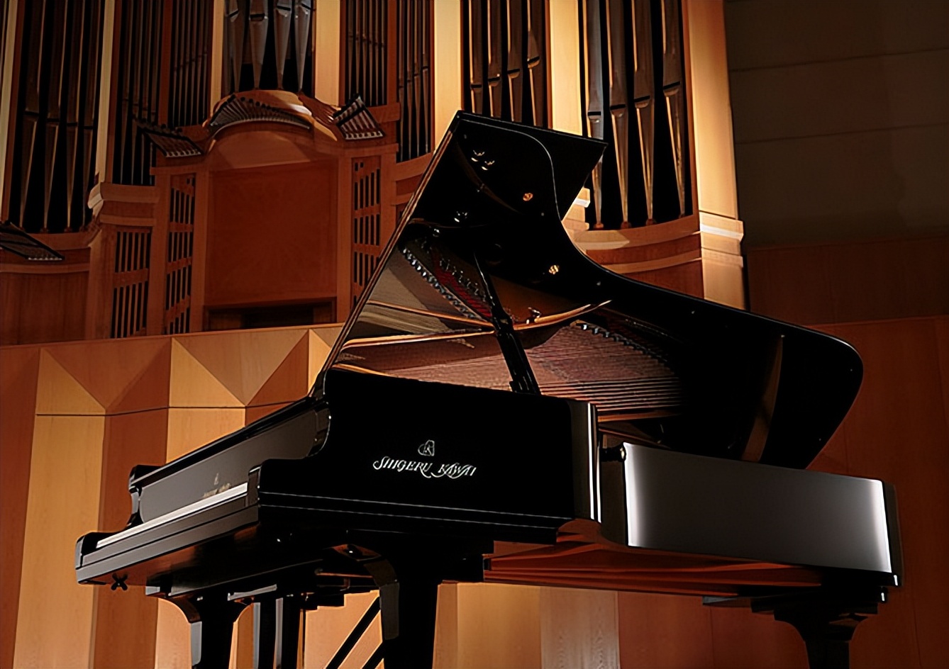 出租屋的幸福时光,出租屋幸福时光