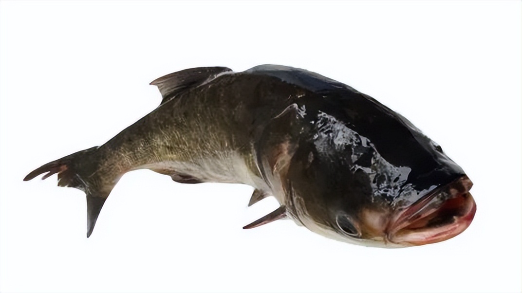 抚州特色农产品有哪些,抚州十大特色农产品