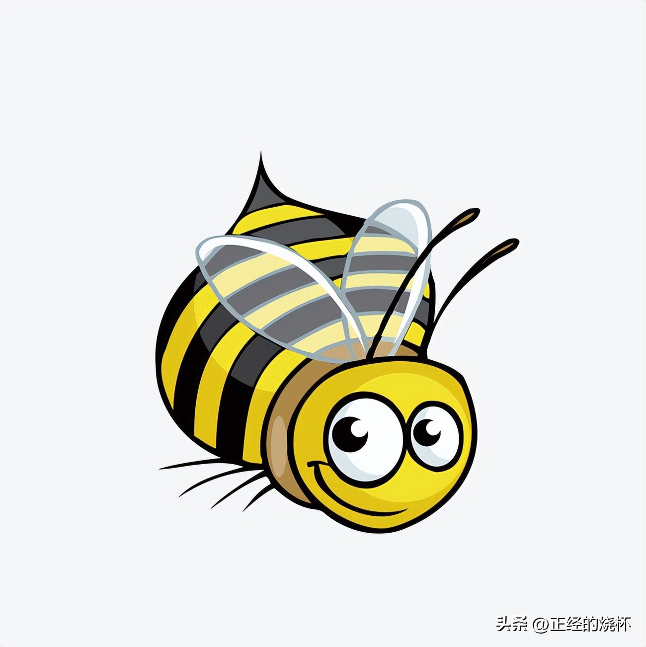 马蜂的习性有多可怕,马蜂习性的特点是什么