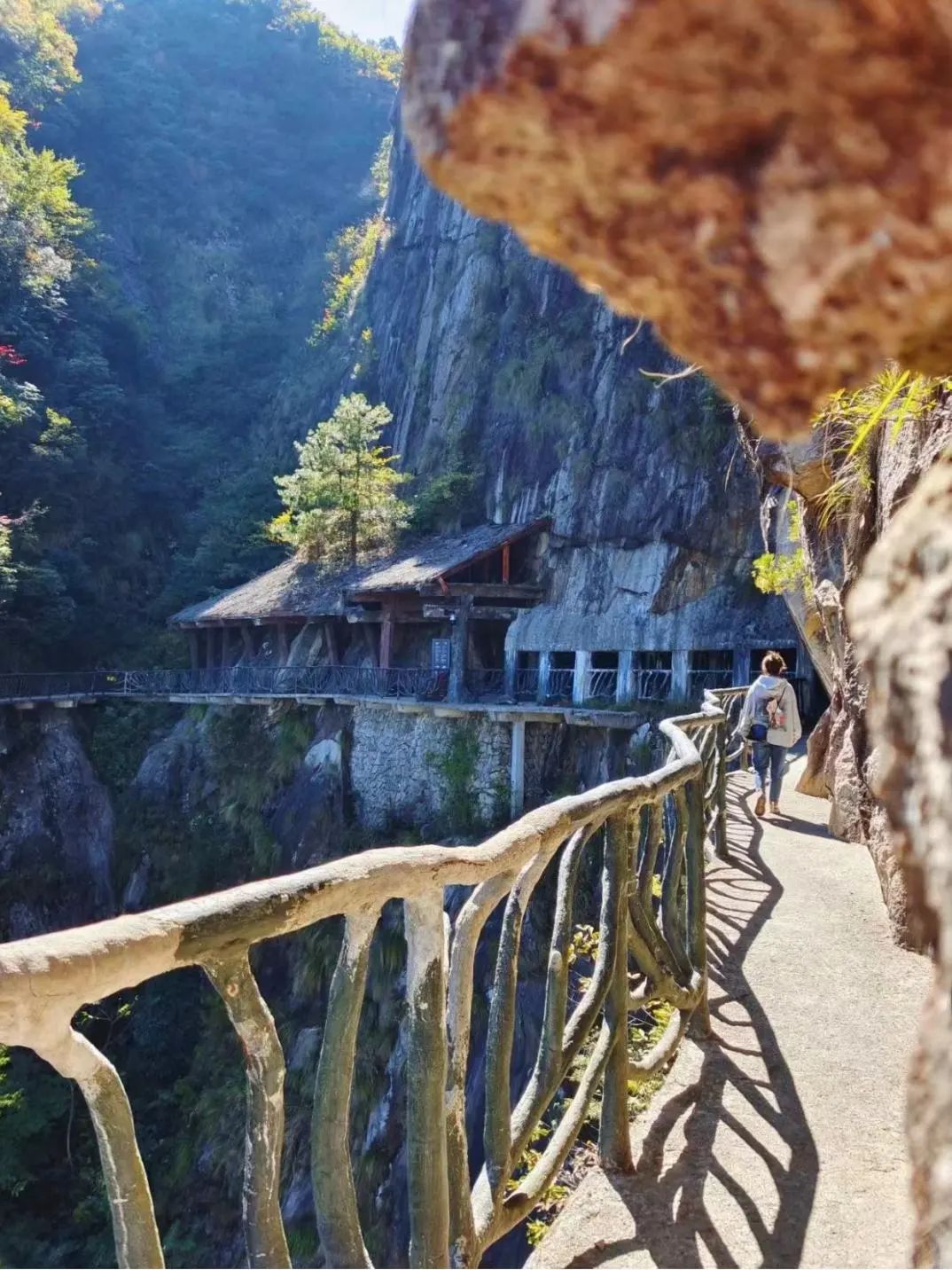 杭州秋日游攻略,杭州秋色上线这些赏秋地风景极佳