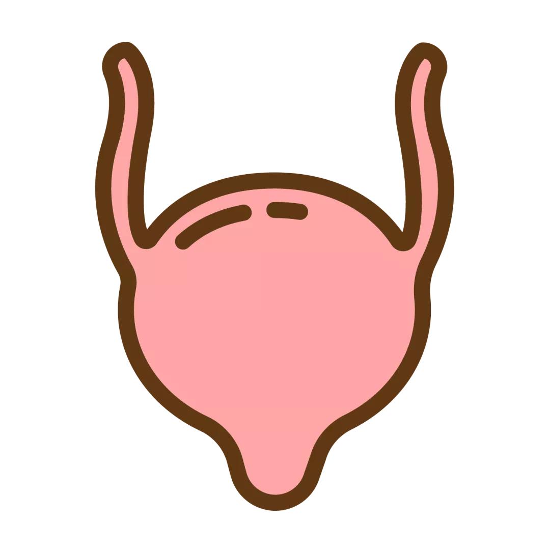 4.5毫米的结石一直掉不下来,4公分结石有多大