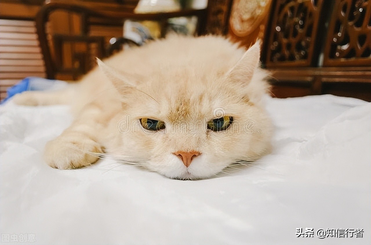 逆向思维如何避免干傻事,学会逆向思维的六个方法