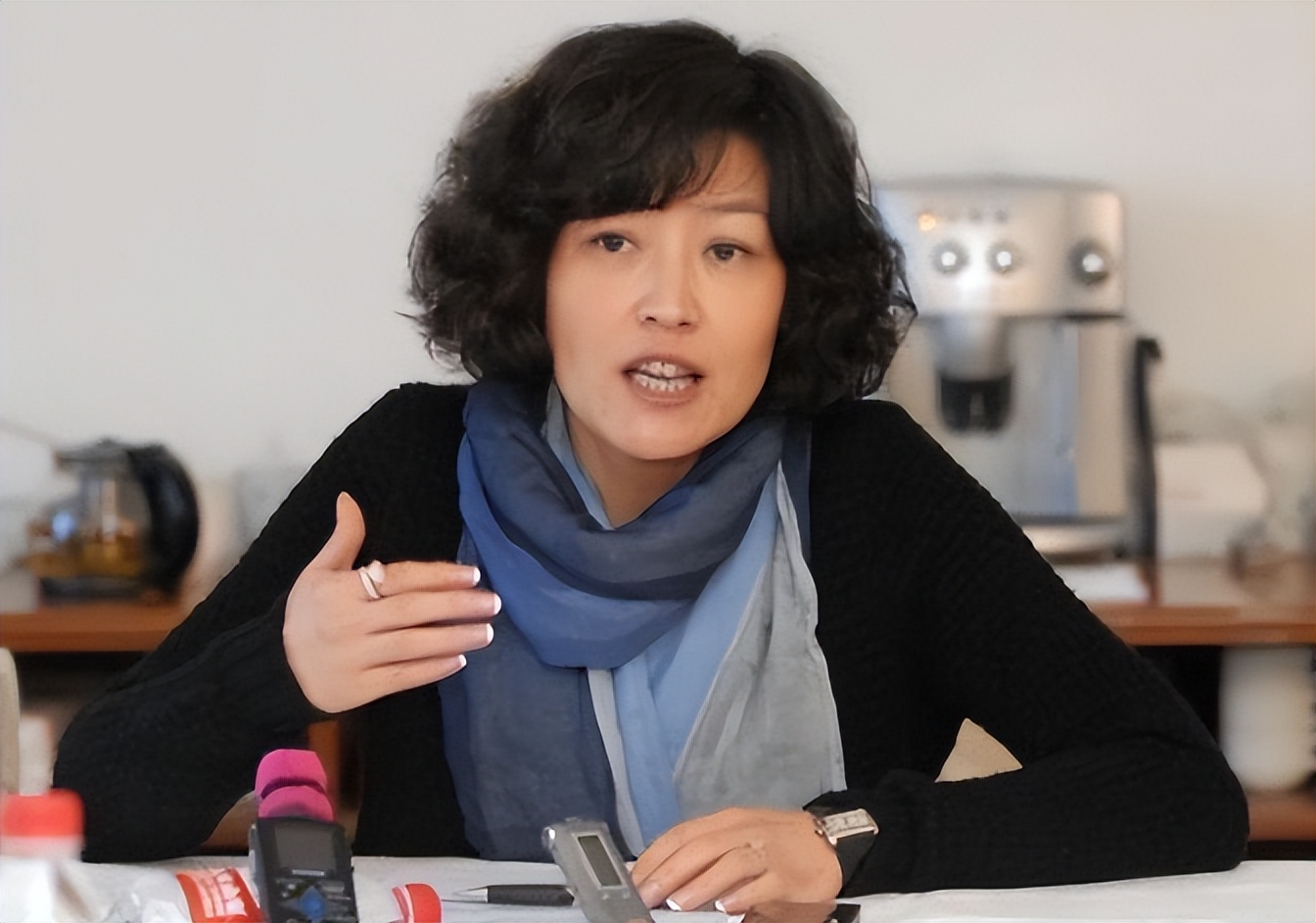 哈文为什么让赵本山上央视舞台,哈文和赵本山一段不为人知的故事