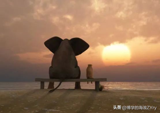 写给自己好好活着别想太多,别想太多好好活着句句入心