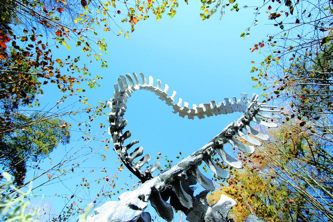 在花园中思考宇宙——詹克斯宇宙思考花园