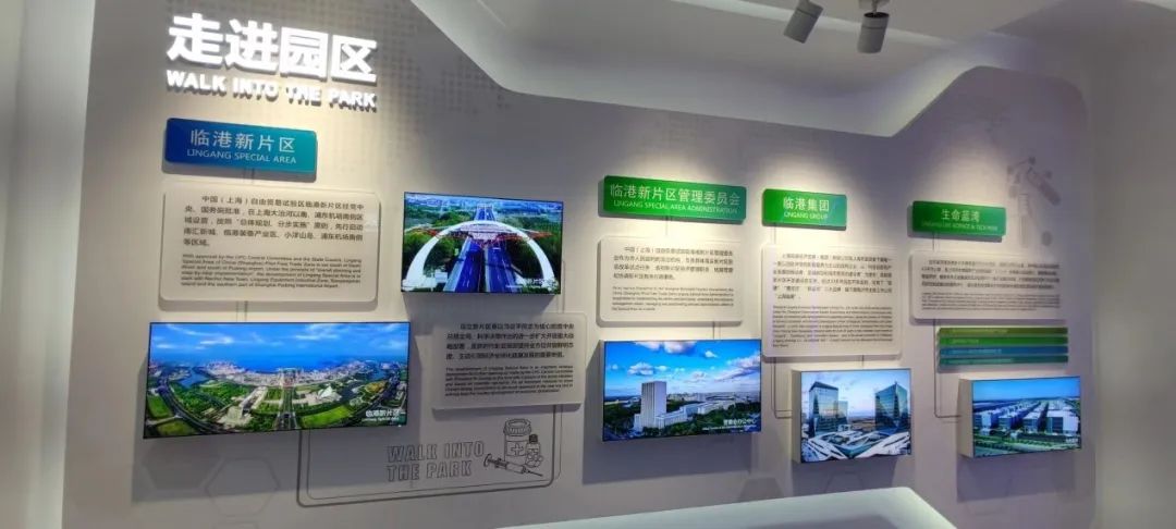 奉贤海湾镇的发展,奉贤海湾镇最新发展