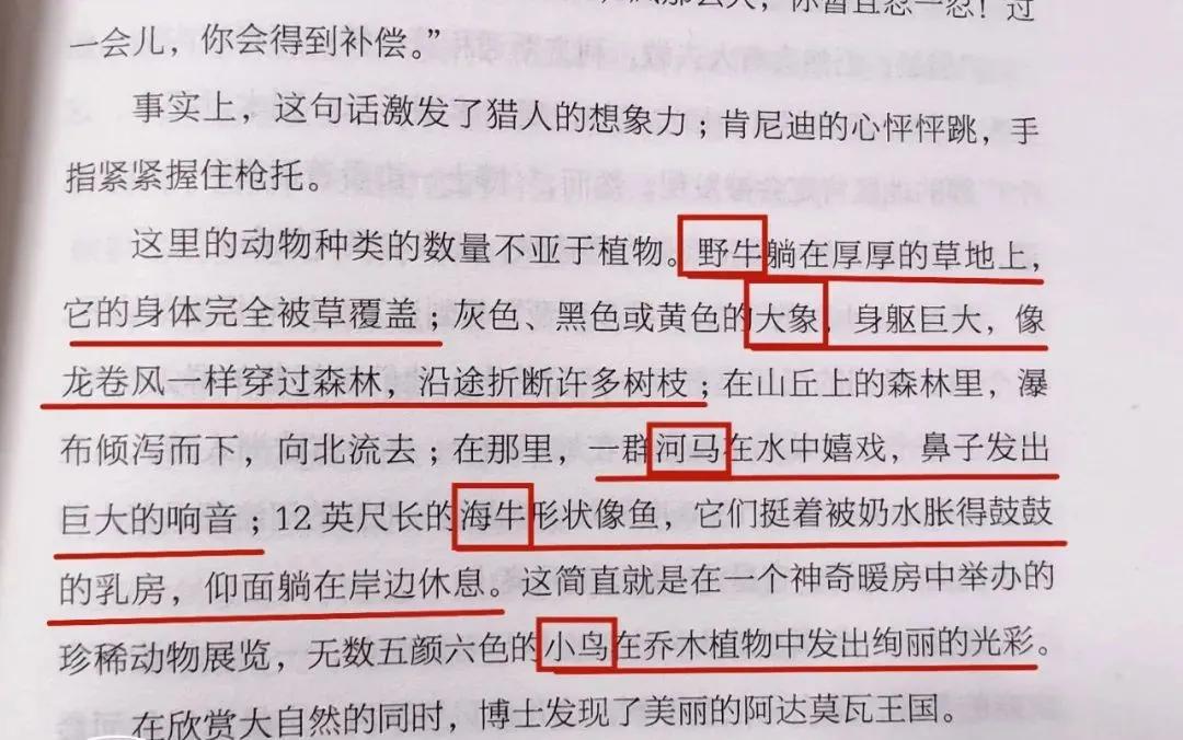 凡尔纳经典科幻书,凡尔纳经典科幻故事