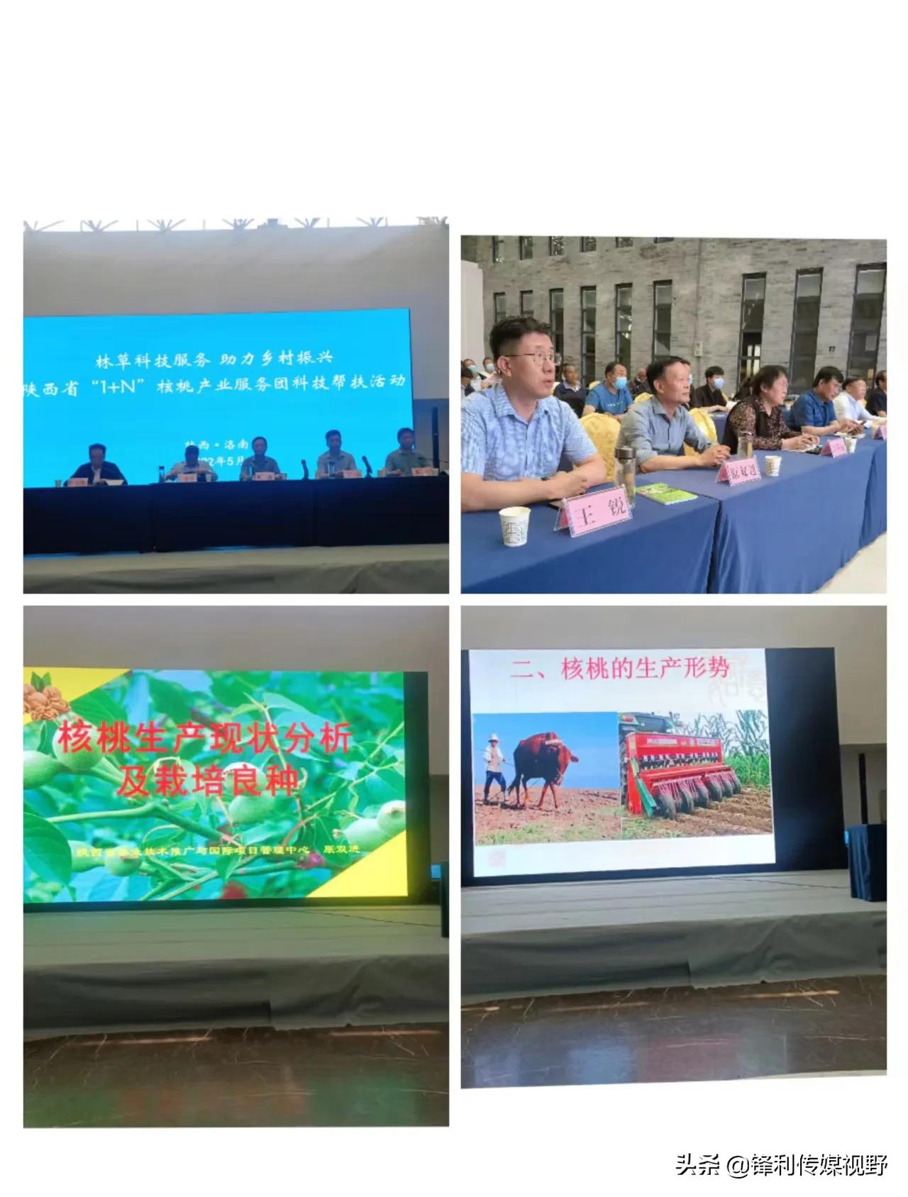 核桃产业调研计划,来我区调研核桃产业