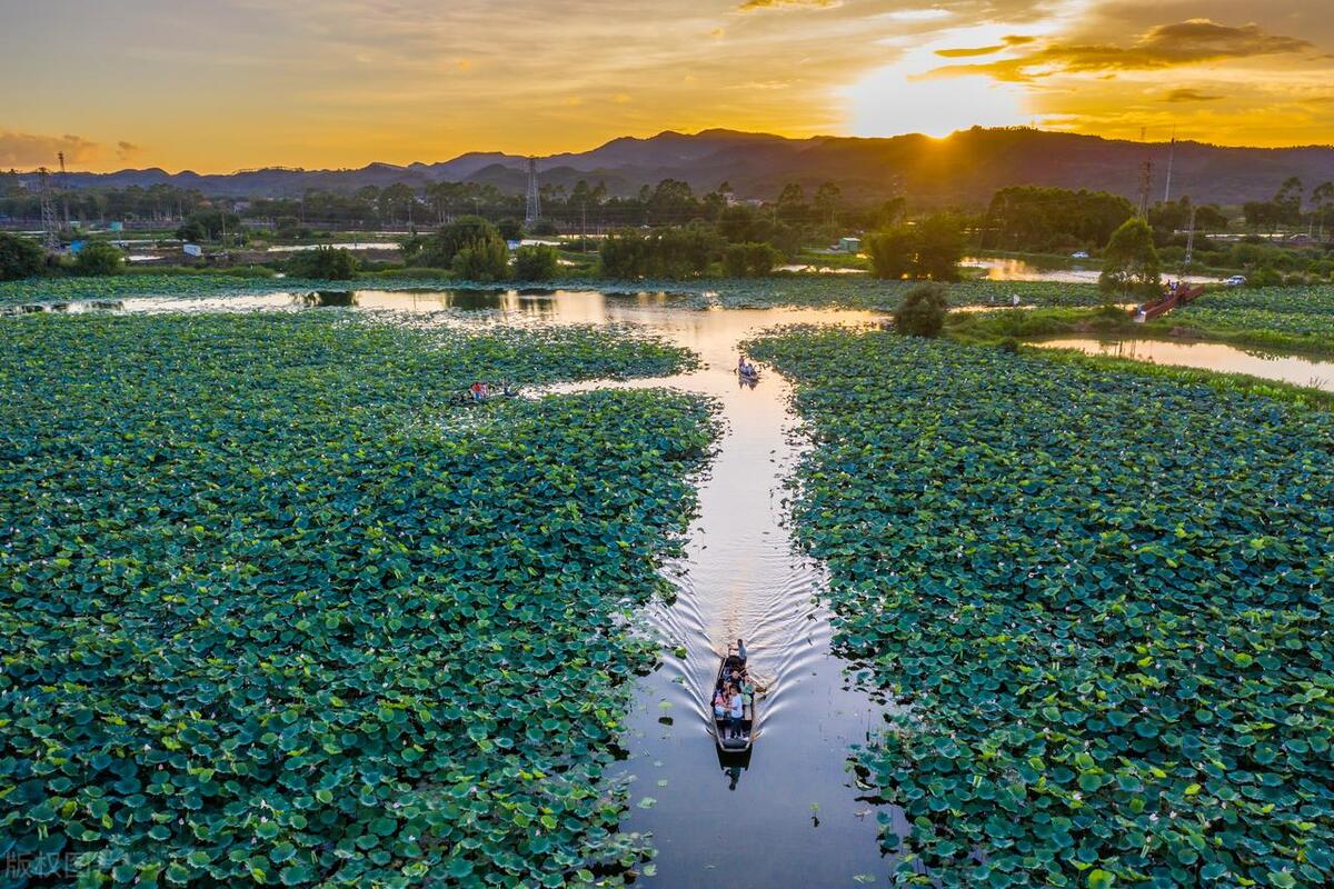 鹤山古劳水乡自由行,鹤山自由行攻略