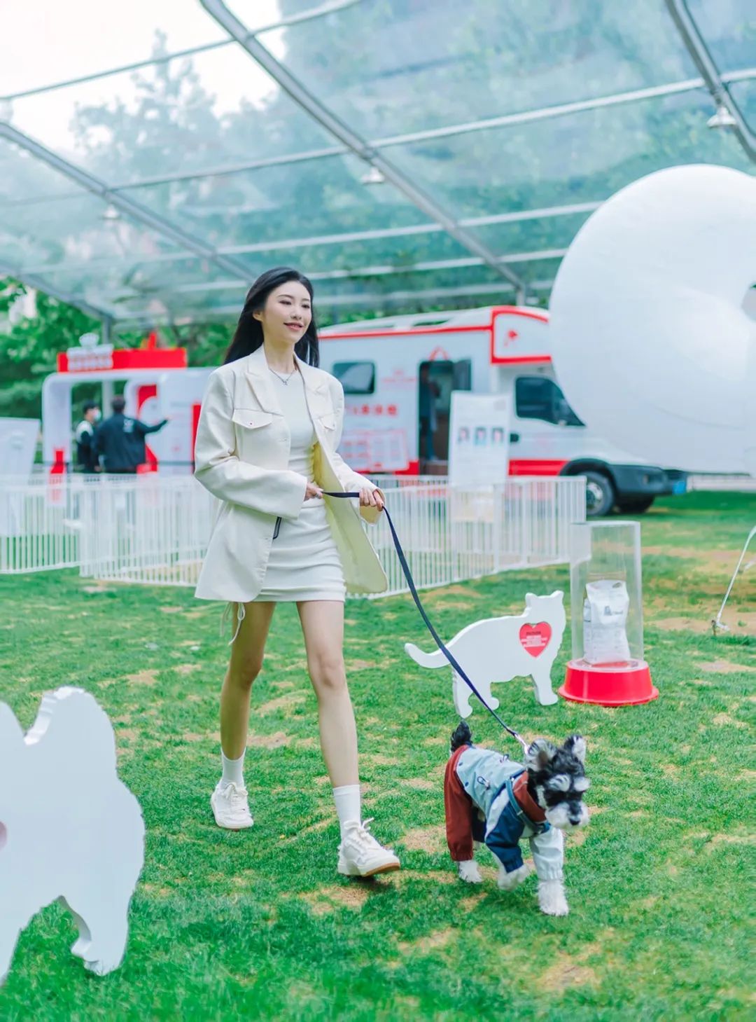 市区100平米宠物游乐园,宠物游乐场室内