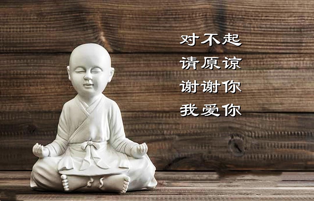 2023079期双色球:红球号码基本上没有冷号,那就关注这两类号码