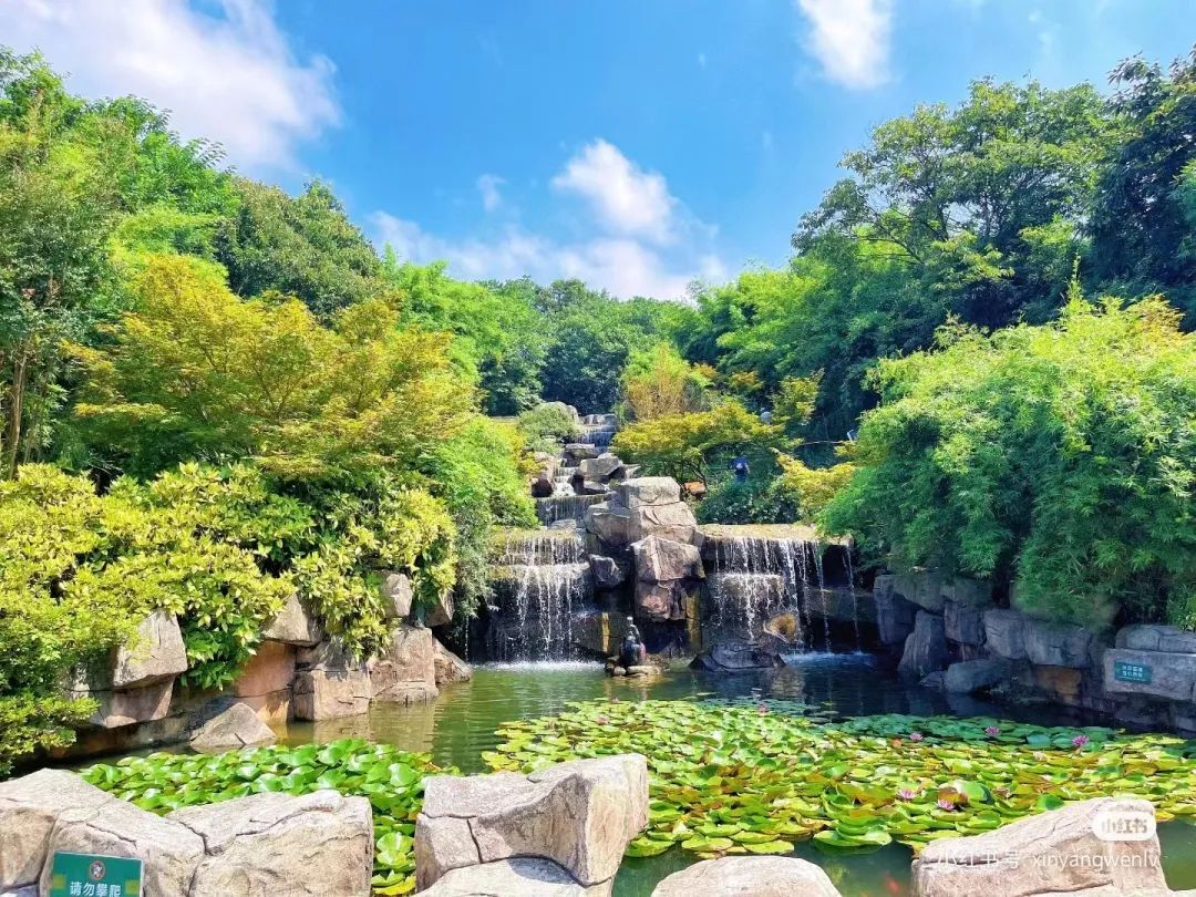 信阳南湾湖一日游详细攻略,信阳三日游攻略