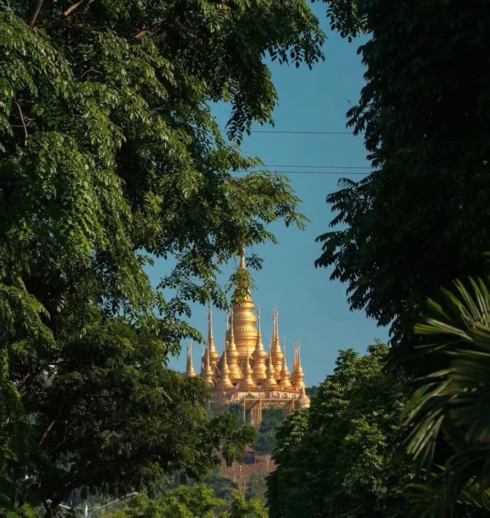 去版纳要注意踩的坑,去版纳怎么避坑