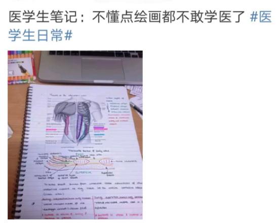 中国最好十所医学大学就业前景,就业前景好的医科大学有哪些