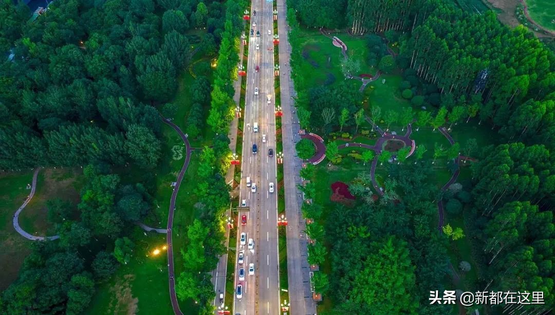 如果城市有颜色重庆,如果城市有颜色作文