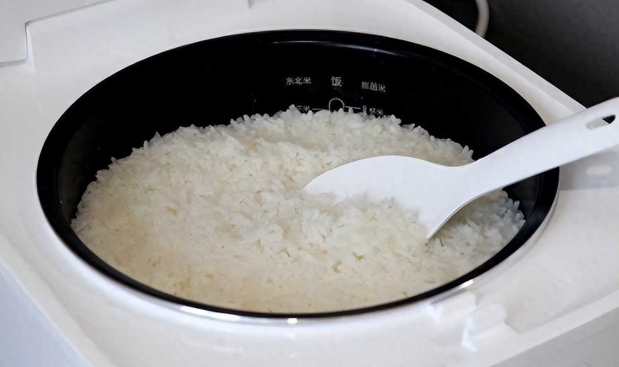 电饭煲贵的和便宜的有什么区别,100的电饭煲和500的电饭煲区别