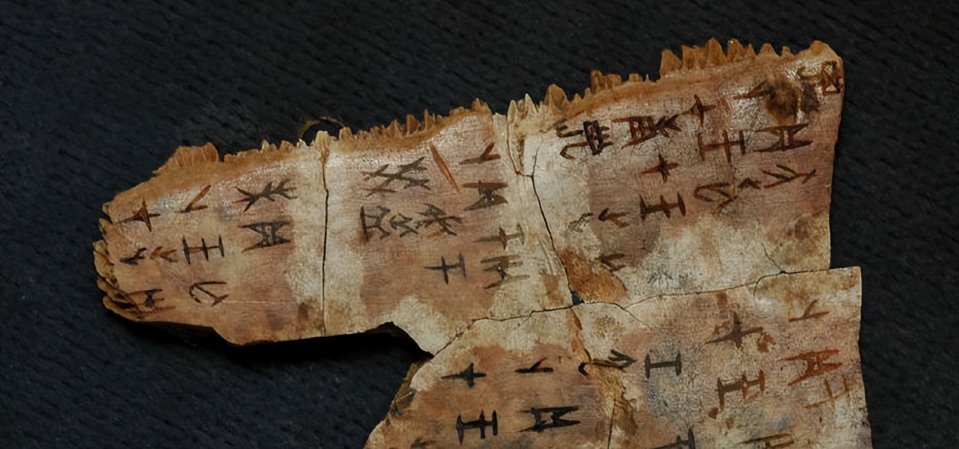 甲骨文是怎么辨识出来的,甲骨文中的甲骨用甲骨文怎么写
