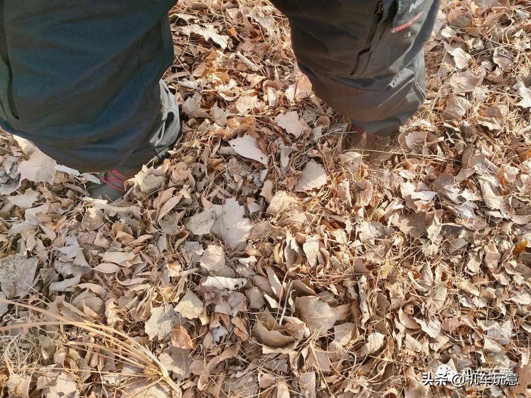 文字版【探秘古村】冬季骑行冰雪奇缘，怀柔梭草村的童话冰雪森林