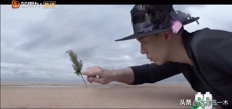 如何告别2021年最后一天文案,总结2021年文案短句