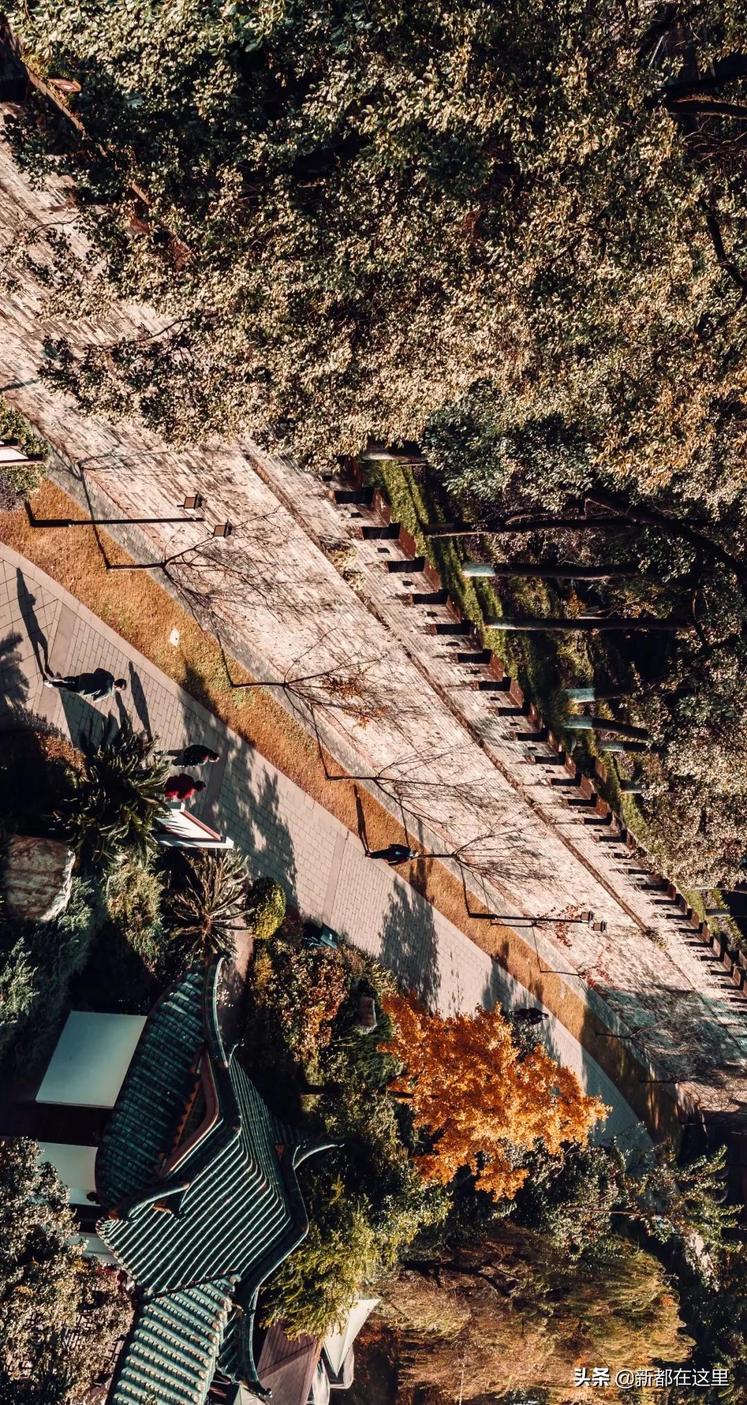 新都拍照个人写真,新都网红写真