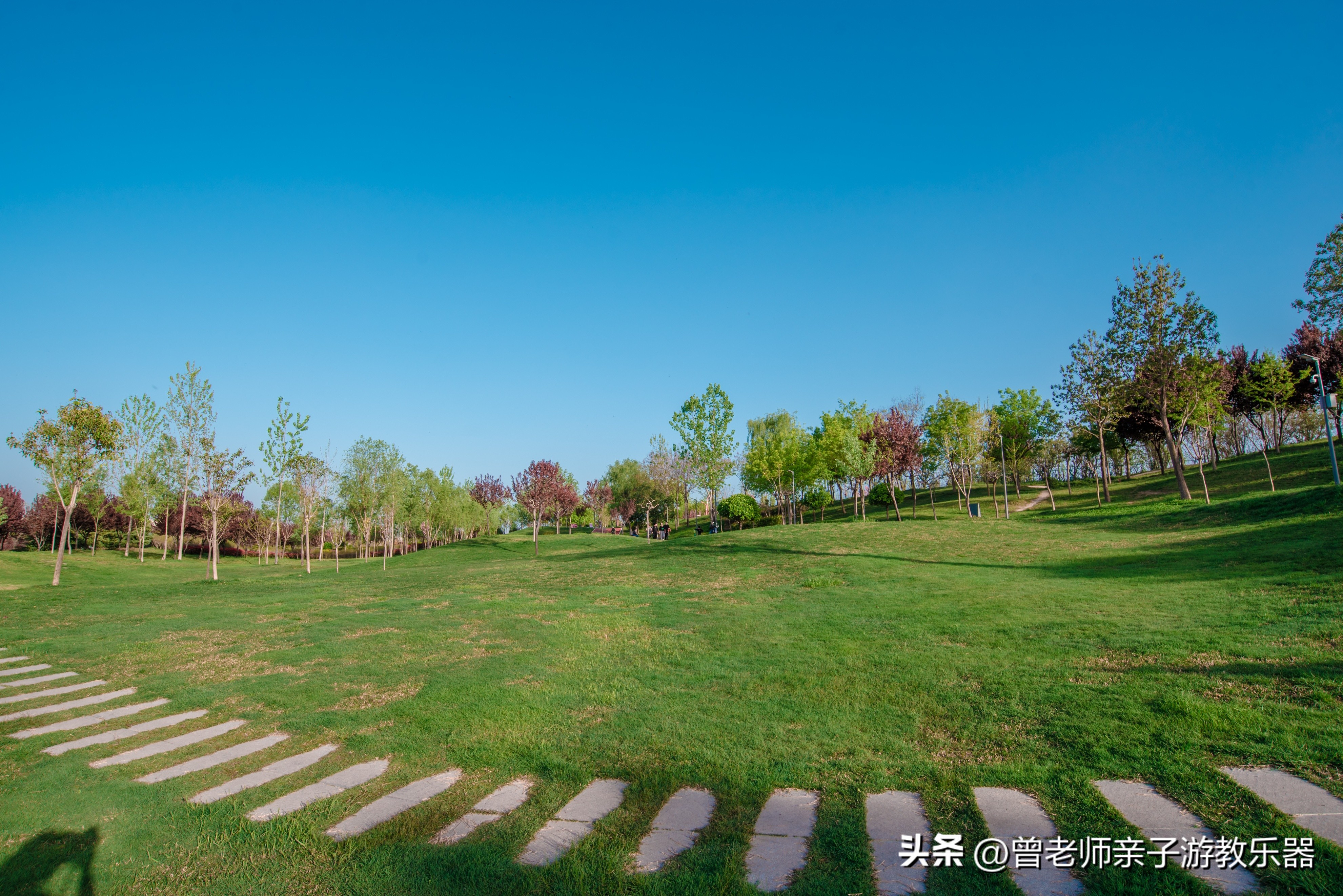 西安市内旅游必去景点攻略一览表,西安五天旅游景点攻略大全