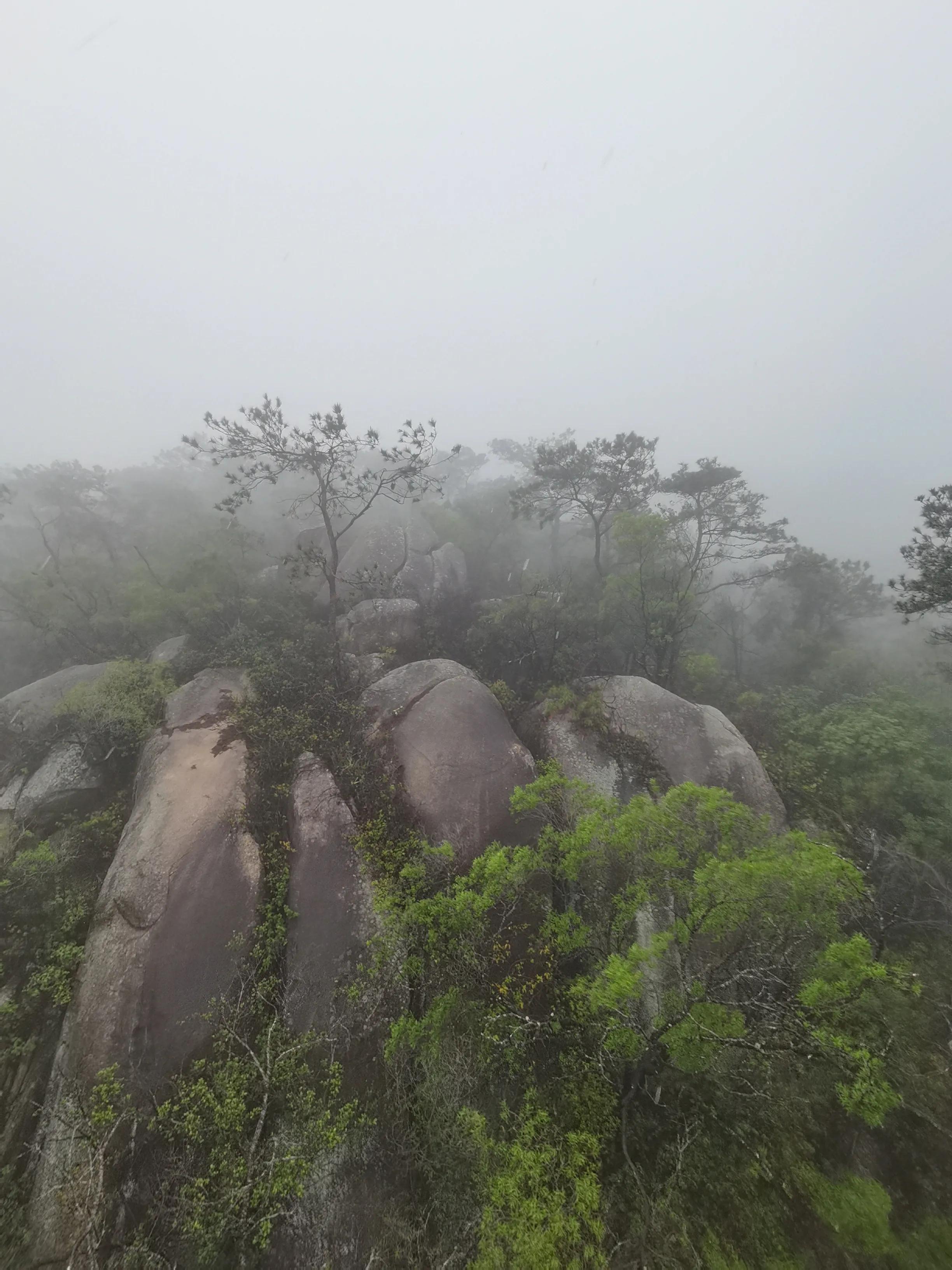 钟鼓索道厦门需要坐多久,钟鼓索道厦门视频