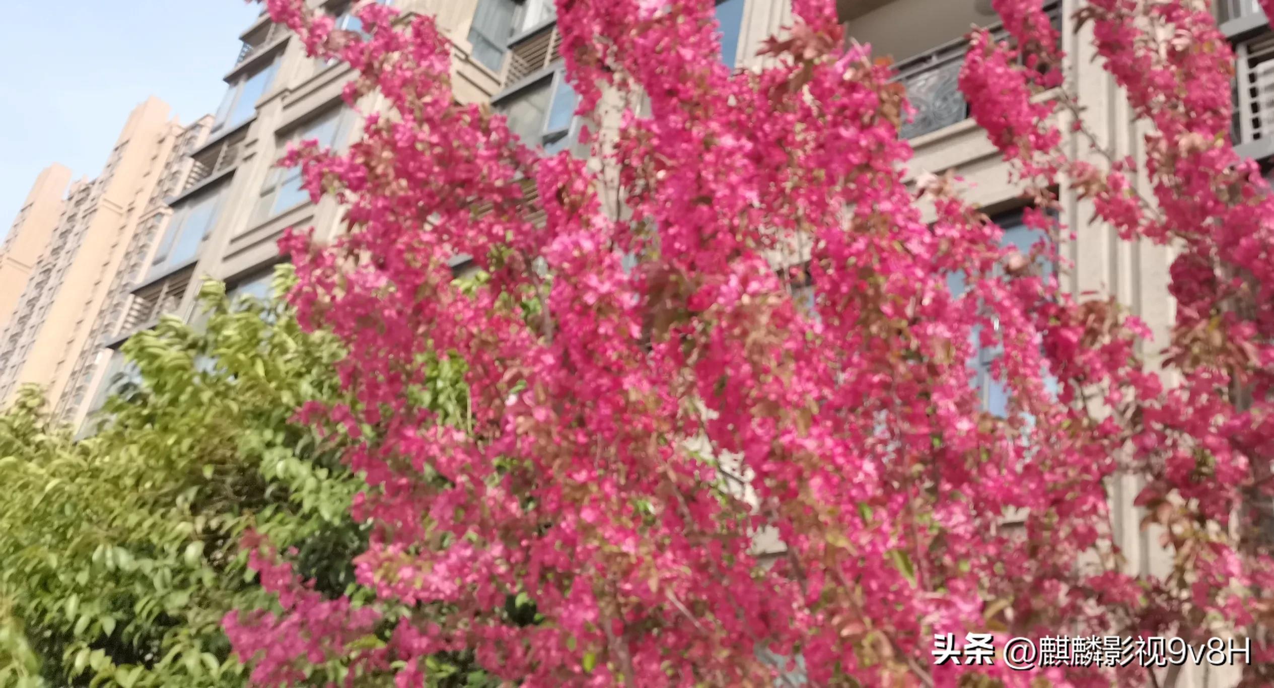 兴趣是最好的老师英文,兴趣是最好的老师原句