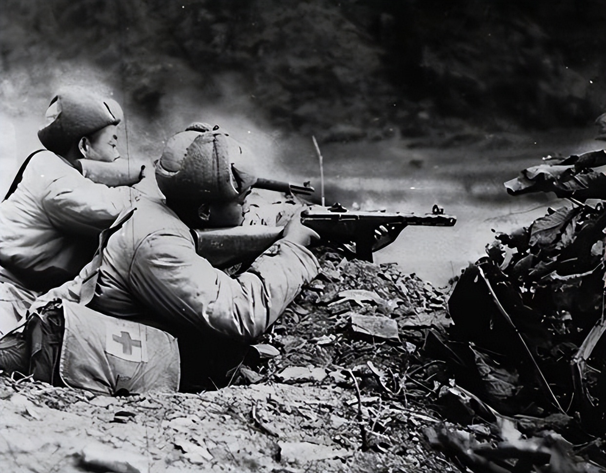 55年，毛主席夸50军在朝鲜打得不错，军长：主席，我想要提个请求