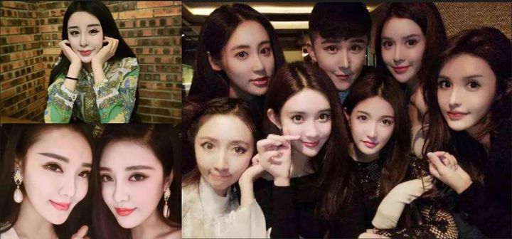 动物的择偶标准,动物择偶