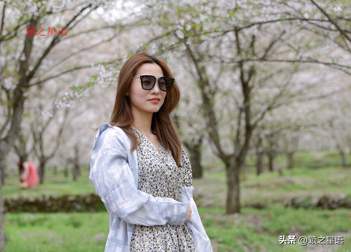 3月份看樱花去哪里看最好,三月中旬最值得去欣赏的樱花最美