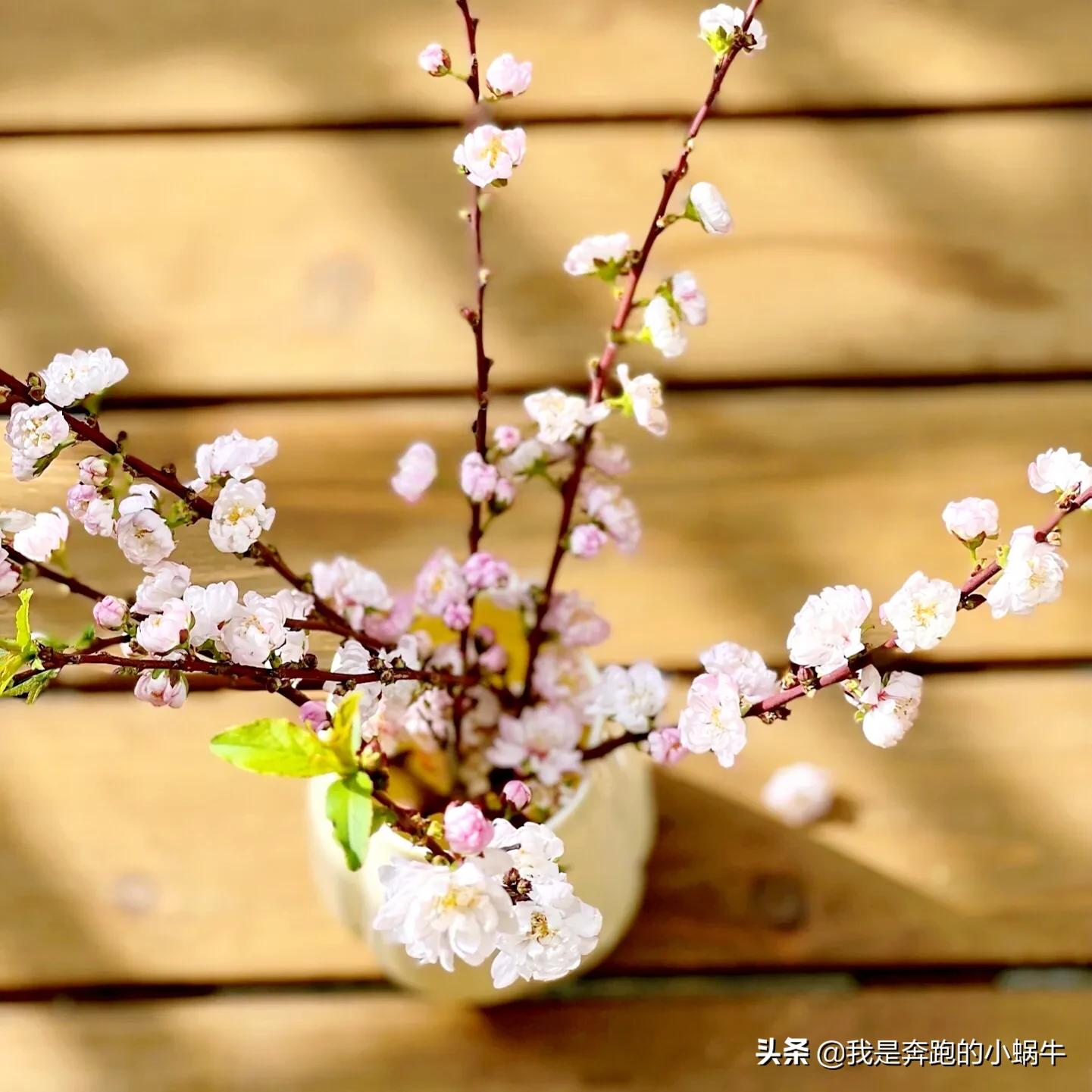 一篇问答收益2万,问答收益最快的方法