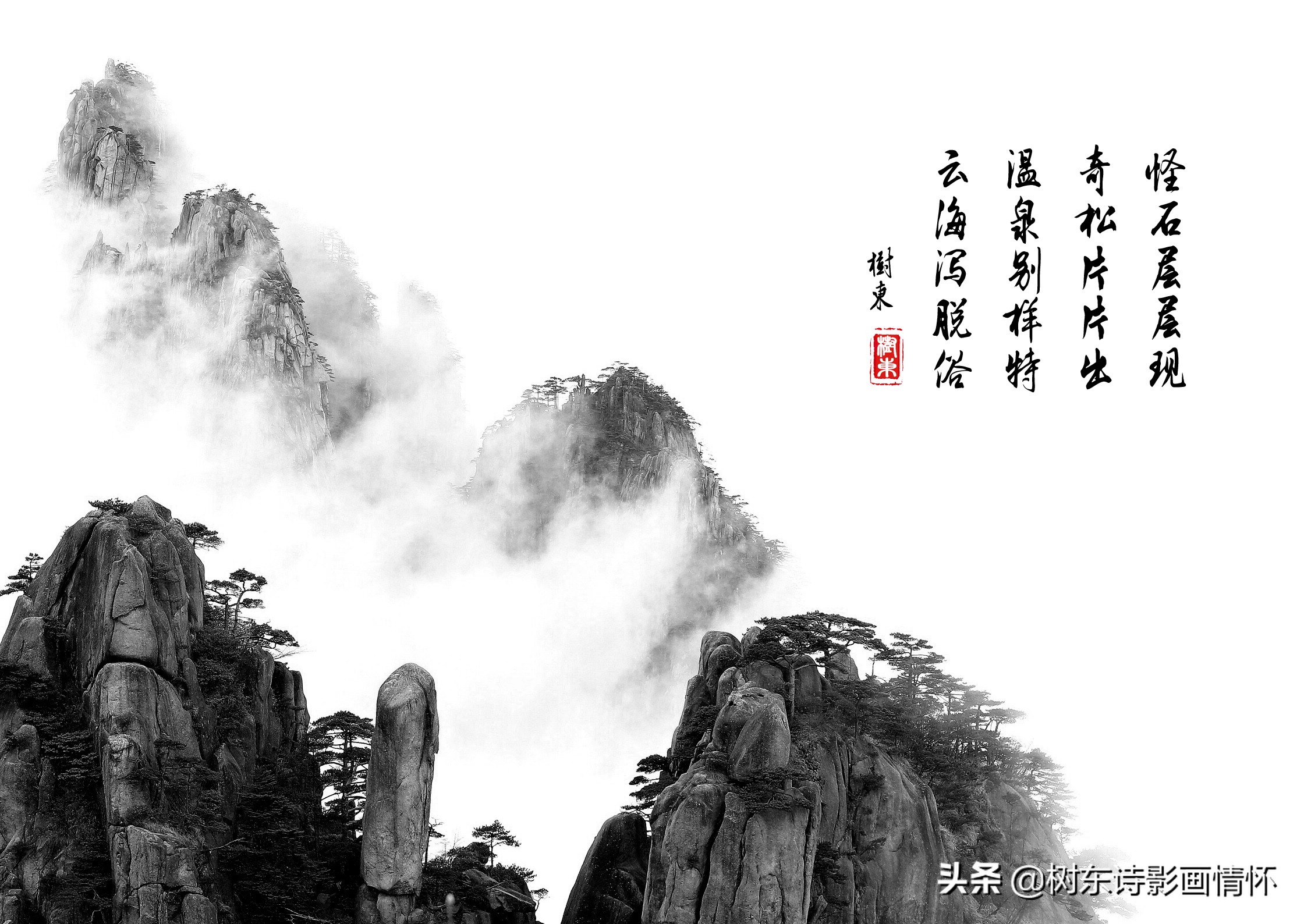 大雪压青松青松挺且直是谁写的诗,大雪压青松青松挺且直象征意义