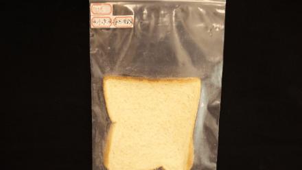 面包发霉了宝宝吃了,面包发霉了科学小实验