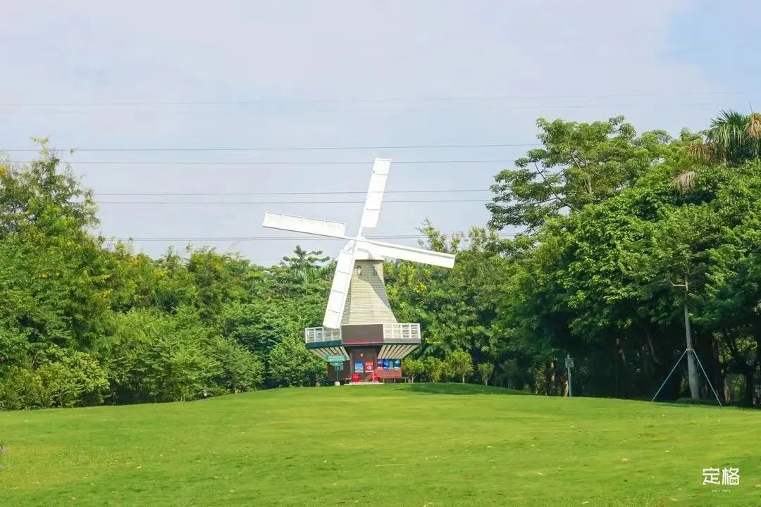 不用出国在深圳看到的美景,深圳有什么景点去看的不要钱的
