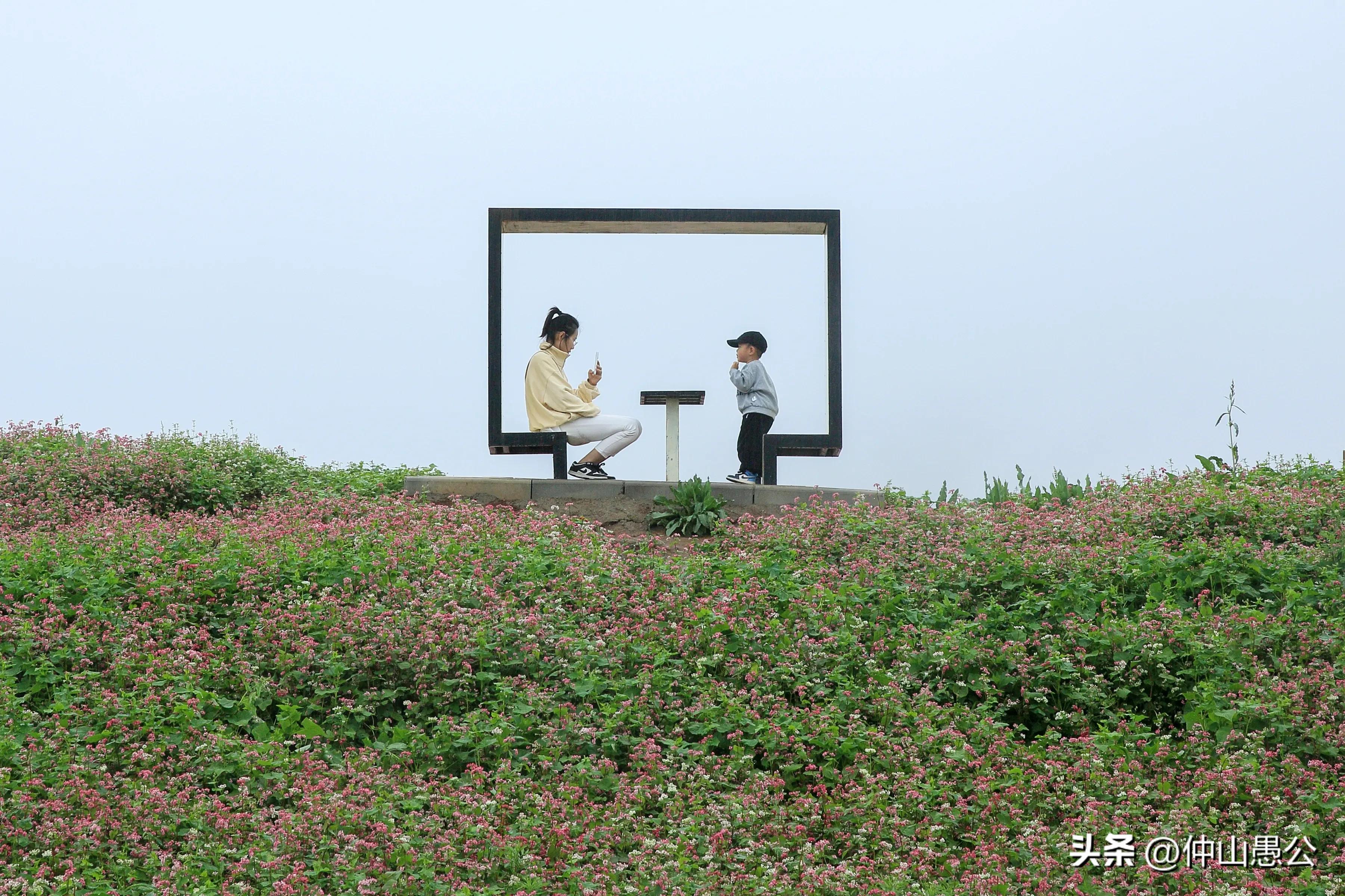 行摄川藏摄影图片,行摄诗和远方