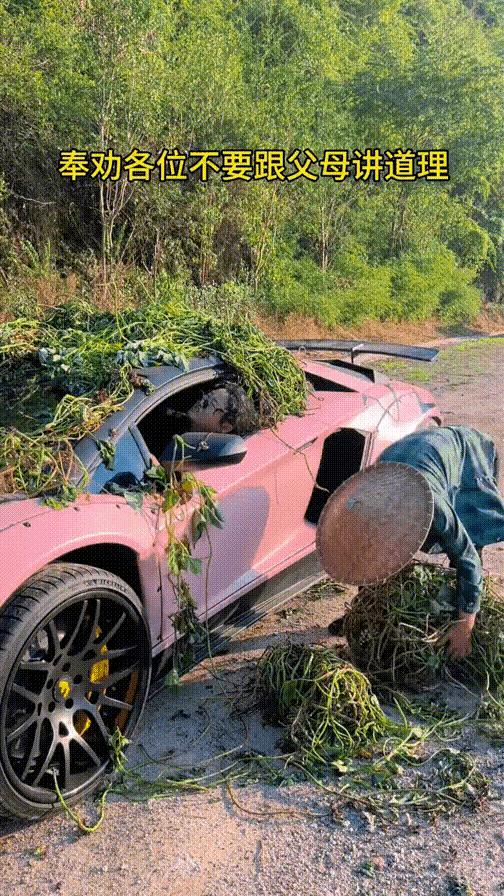 发烧真的会烧坏脑子，笑死我了哈哈哈哈哈哈哈