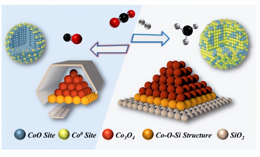 大连理工大学郭新闻教授,大连理工大学郭教授