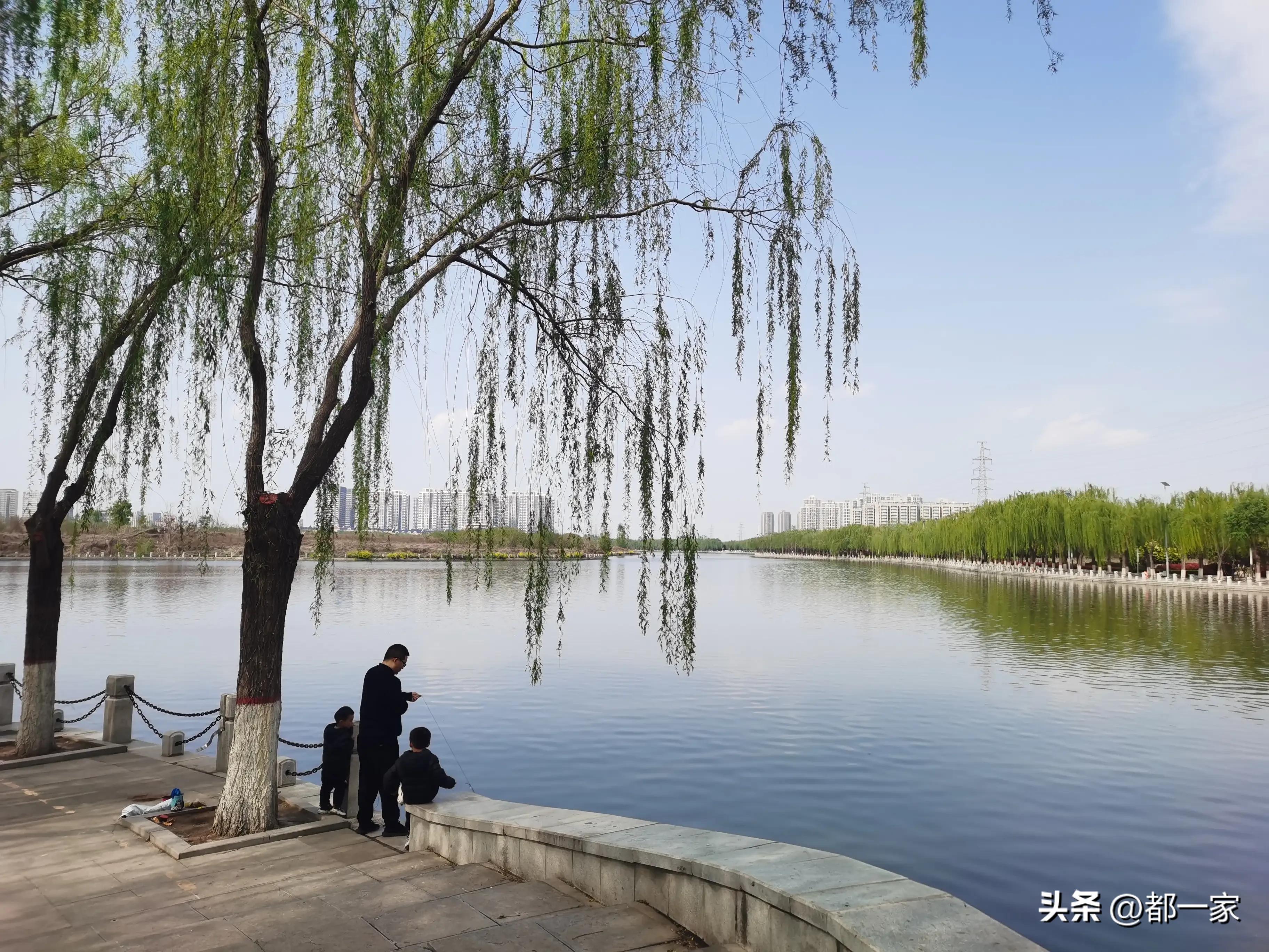 郑州须水河湿地公园,郑州索河湿地公园网红打卡地