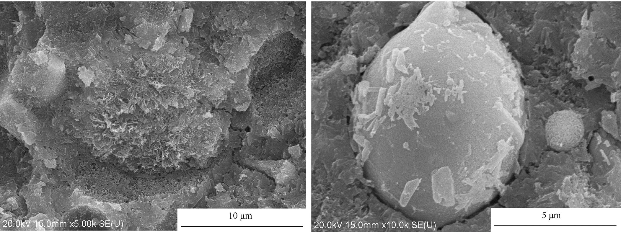 低热水泥混凝土,低热硅酸盐水泥