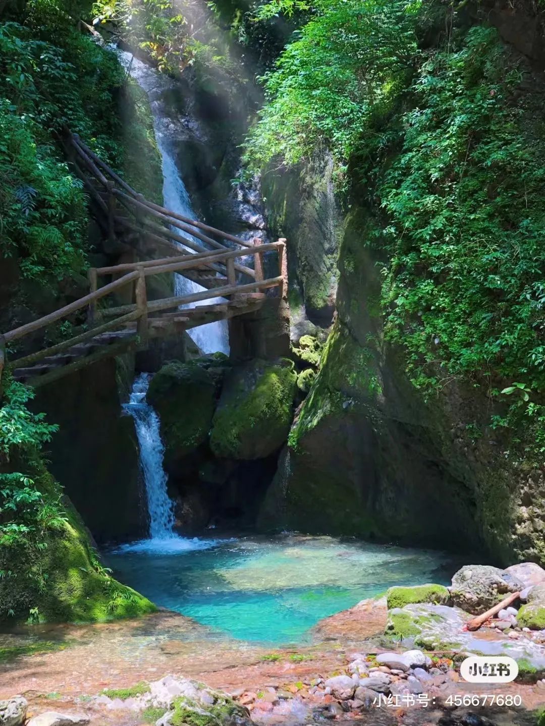 成都避暑带娃旅游景点推荐,成都夏天避暑露营哪里最凉快
