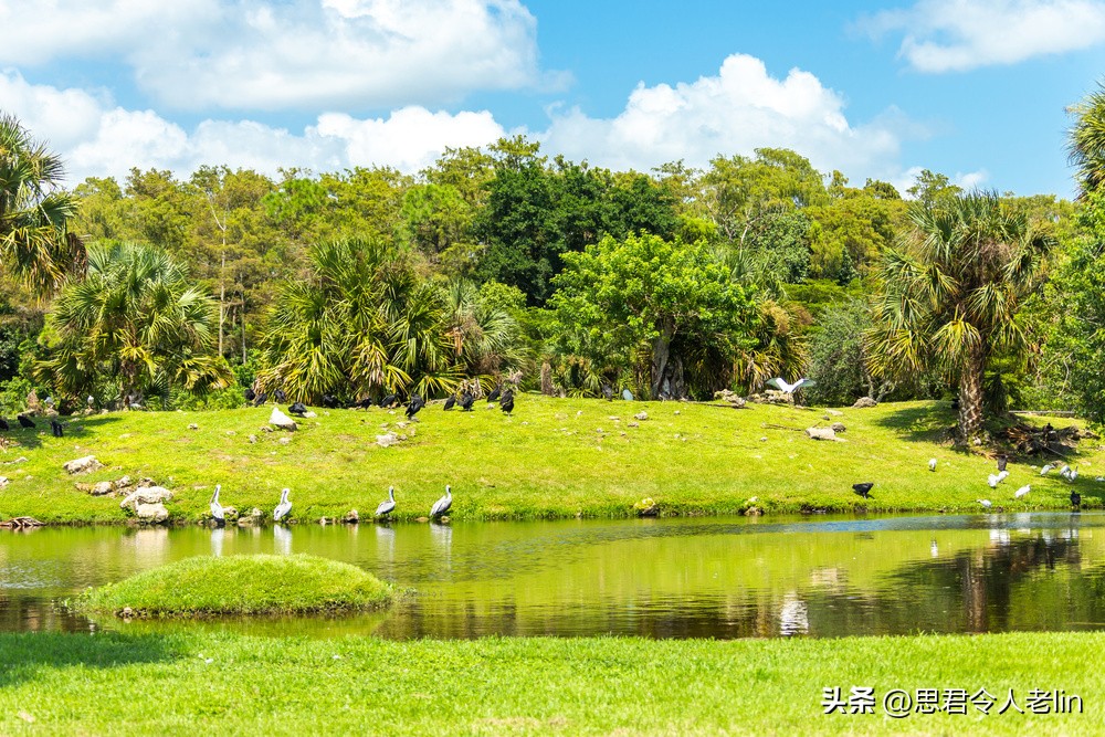 最著名的田园生活诗词,适合田园生活的诗词